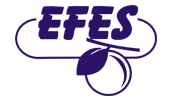 EFES logo